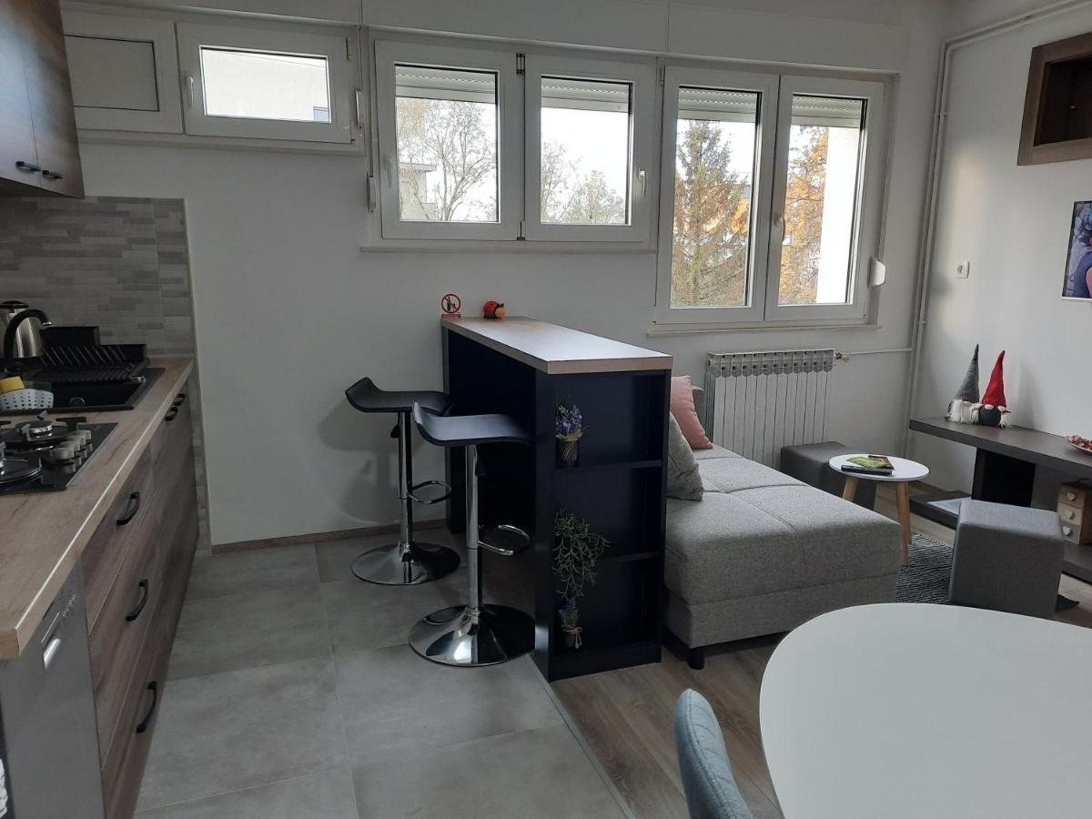 Apartman Ines Velika Gorica Exterior photo